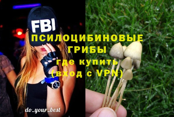ECSTASY Абаза