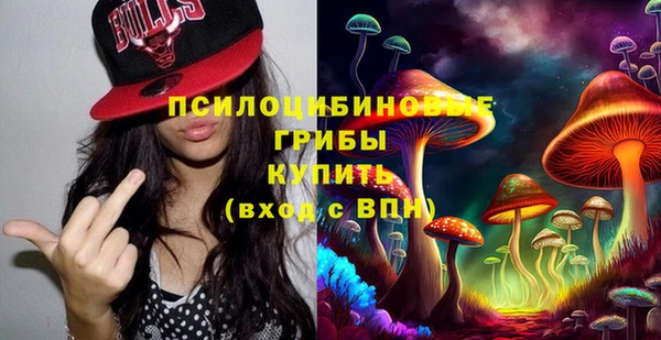 ECSTASY Абаза